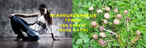 ECSTASY Лабытнанги