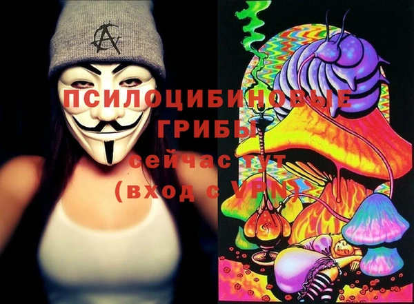 ECSTASY Лабытнанги
